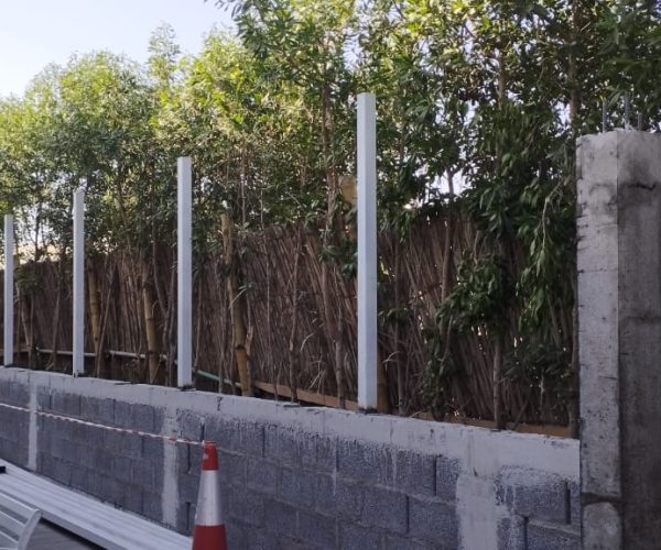 WhatsApp Image 2025-08-26 at 11.40.15 AM